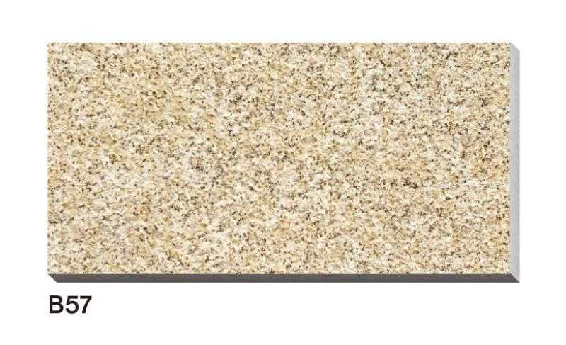 Porcelain Pavers Outdoor