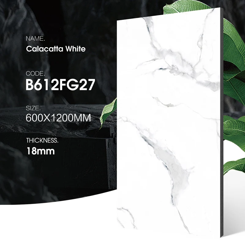 Outdoor Porcelain Wall Tiles