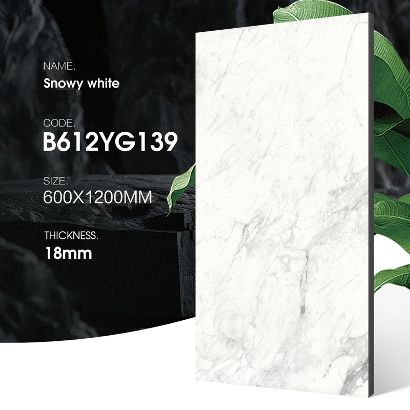 Outdoor Porcelain Wall Tiles