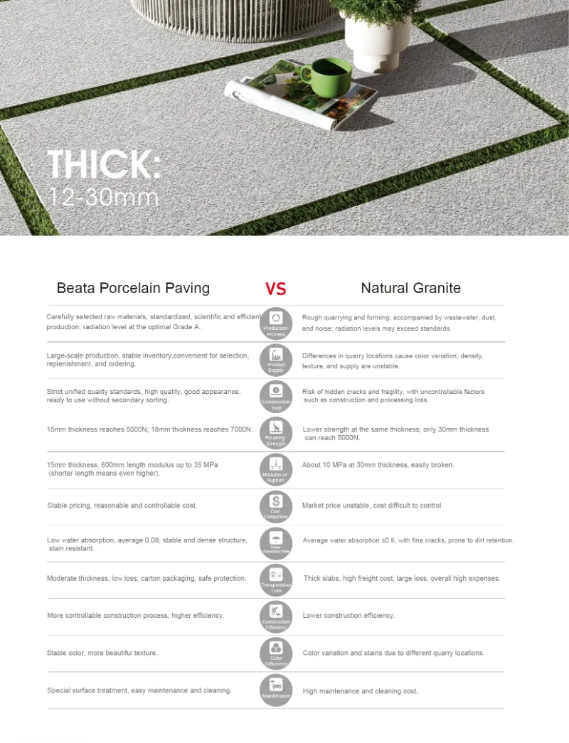 Eco Paving Stone