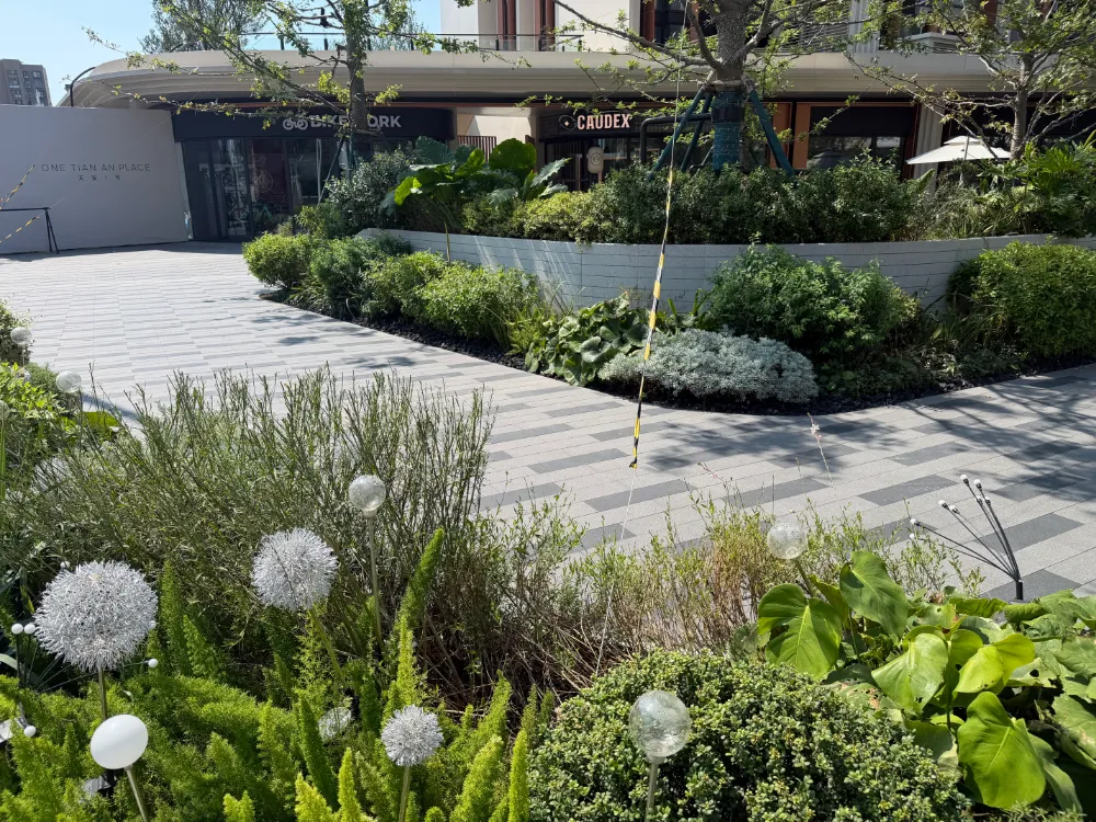 Large-Scale Landscape Paving