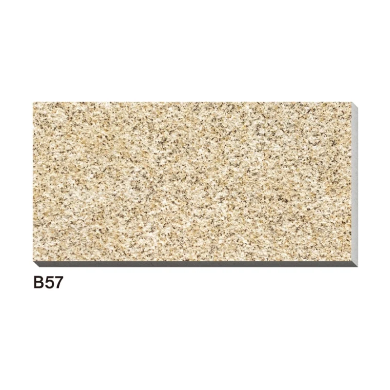 Porcelain Pavers Outdoor